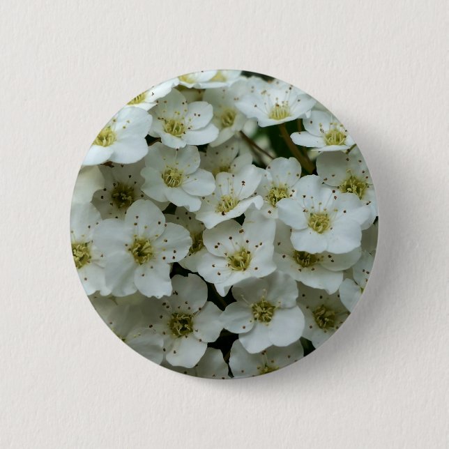 Spirea Arguta Badge 2 Inch Round Button (Front)