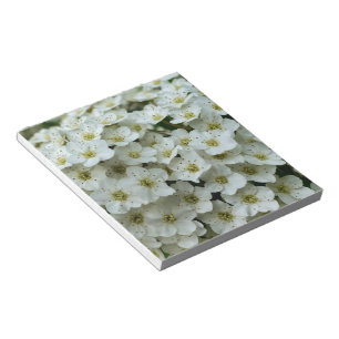 Spirea Arguta Notepad