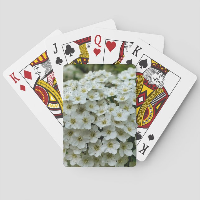 Spirea Arguta Playing Cards (Back)