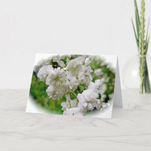 Spirea Note Card