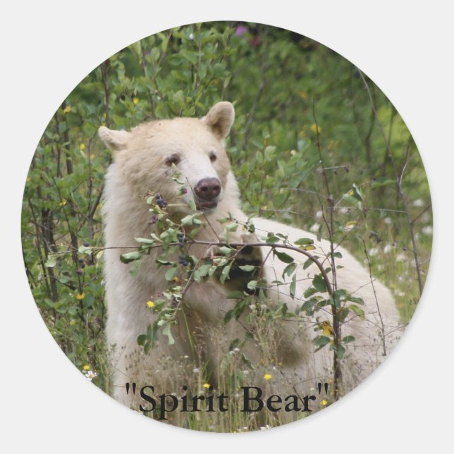 "Spirit Bear" gifts Classic Round Sticker (Front)