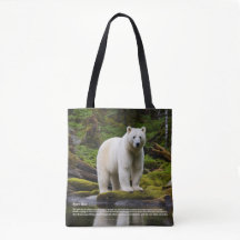 Spirit Bear