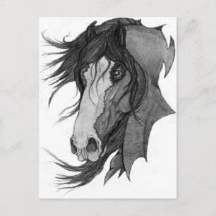 'Spirit' Clydesdale Stallion Horse Art Postcard