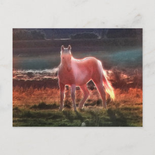 Spirit Dream Horse Postcard