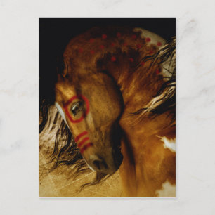 Spirit Horse Postcard