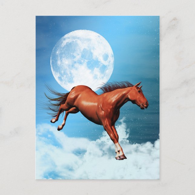 Spirit horse postcard (Front)