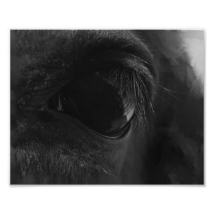 Spirit Lies Within Photo Print
