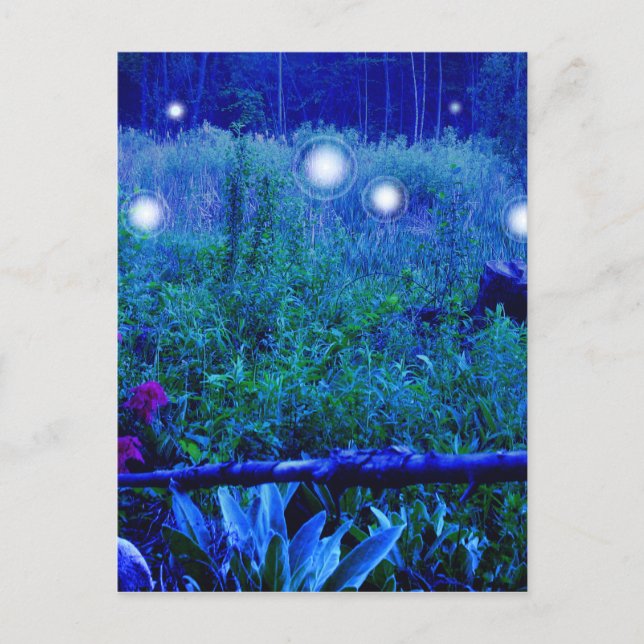Spirit Lights Blue Night Marshy Meadow Orbs Postcard (Front)