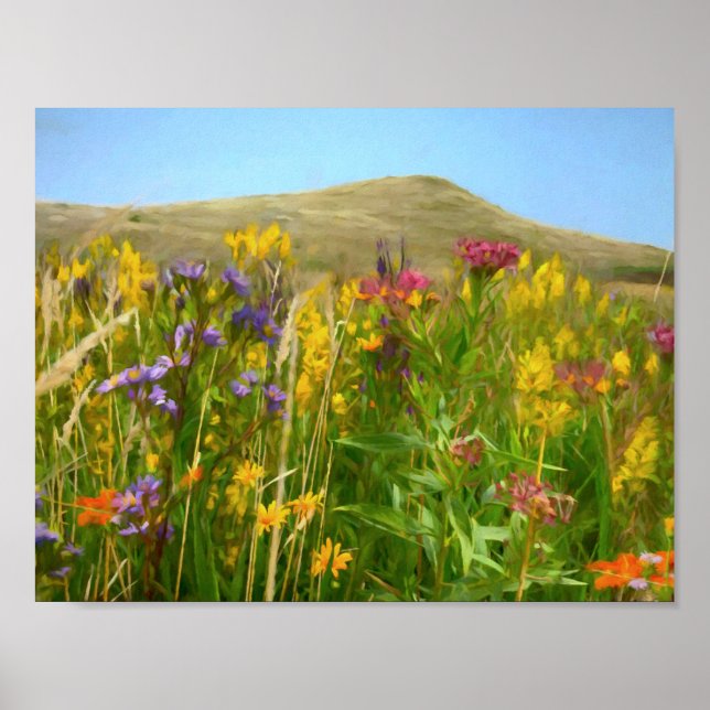 Spirit Mound Wildflowers Poster (Front)