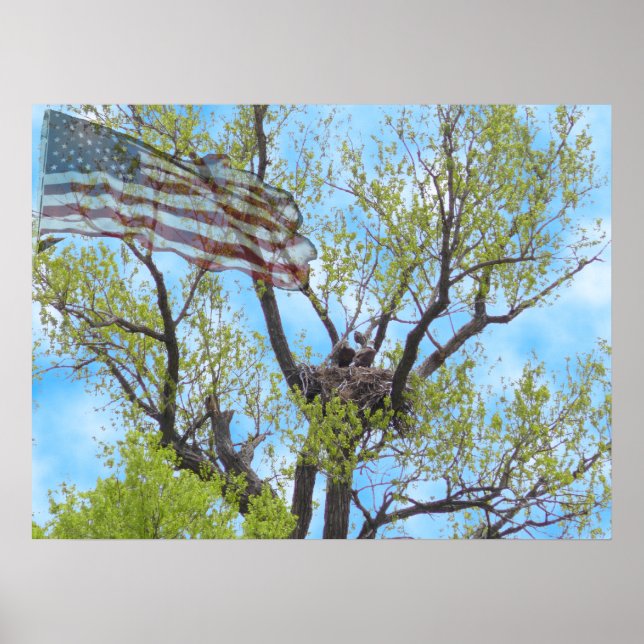 Spirit of Freedom - Poster (Front)