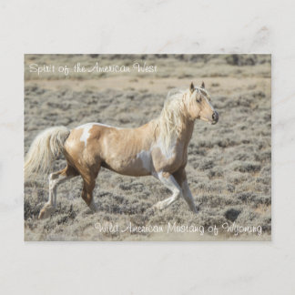 Spirit of the American West - Postcard