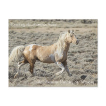 Spirit of the American West - Postcard