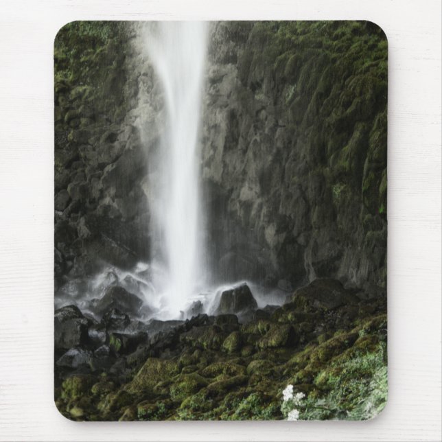 Spirit of the Basin Mouse Pad (Front)