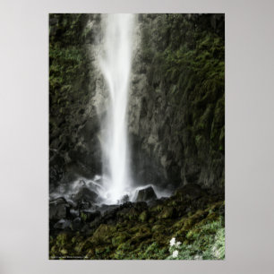 Spirit of the Basin Poster