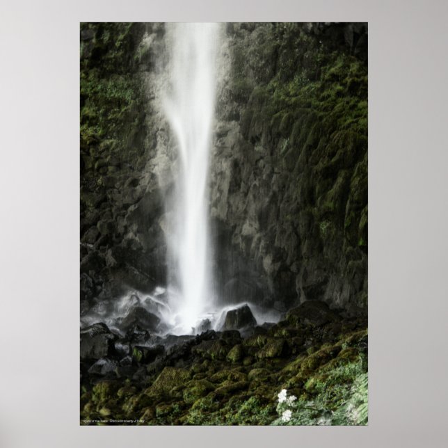 Spirit of the Basin Poster (Front)