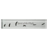 Spirit of the Flight