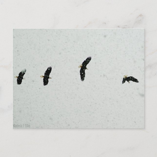 Spirit of the Flight Postcard (Front)