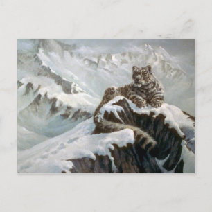 Spirit of the mountains, Snow Leopard Postcard