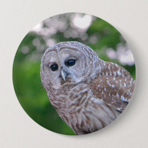 Spirit Of The Owl 4 Inch Round Button