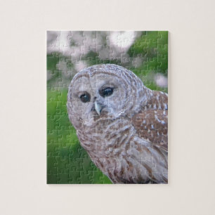 Spirit Of The Owl Jigsaw Puzzle