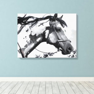 Spirit of the Painted Plains Canvas Print