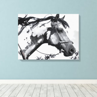 Spirit of the Painted Plains Canvas Print