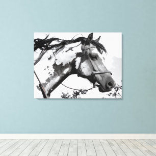 Spirit of the Painted Plains Canvas Print