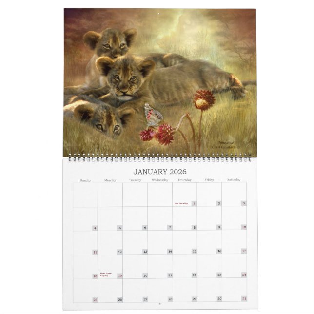 Spirit Of The Wild - AFRICA Art Calendar 2013 (Jan 2026)