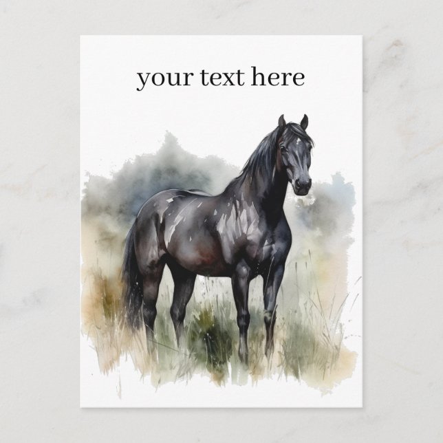 Spirit of the Wild Stallion, custom Postcard (Front)