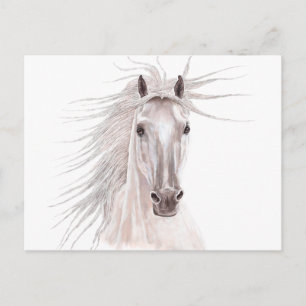 Spirit of the Wind Horse -vintage- Postcard