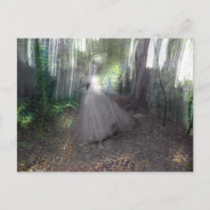 Spirit of the Woods Postcard