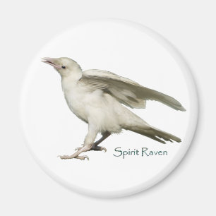 Spirit Raven II Series Magnet