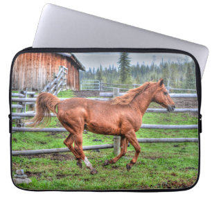 Spirited Dun Pony, Horse Running on Ranch I Laptop Sleeve