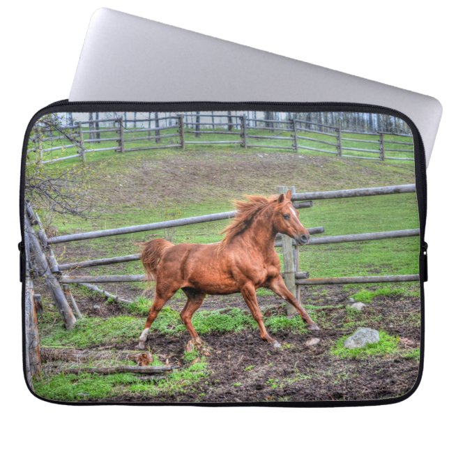 Spirited Dun Pony, Horse Running on Ranch Laptop Sleeve (Front)