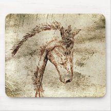 Spirited Horse