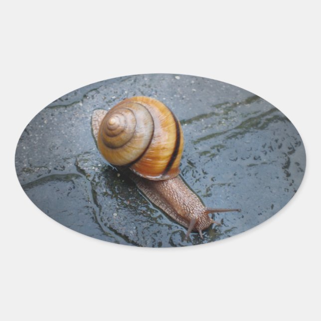 Spirited Snail on a Rainy Day Oval Sticker (Front)