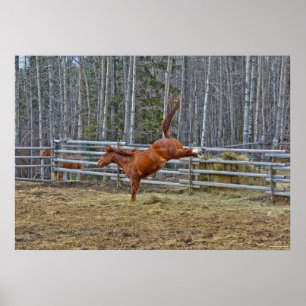 Spirited Sorrel Horse Bucking for Joy in Corral Poster