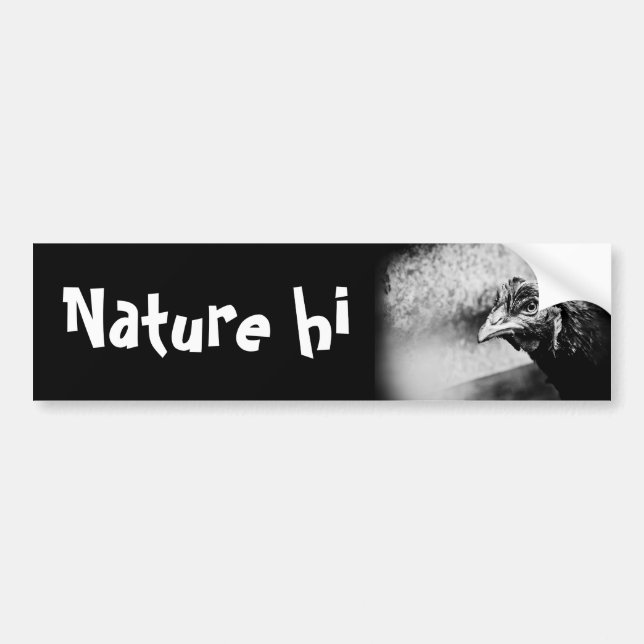 spirits and chickens bumper sticker (Front)