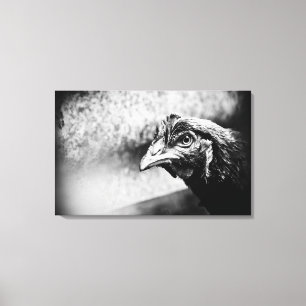 spirits and chickens canvas print