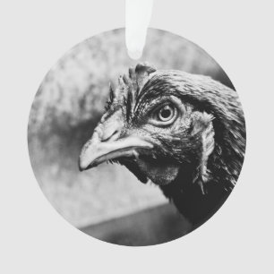 spirits and chickens ornament