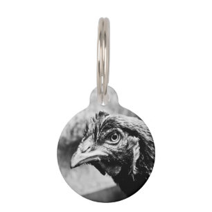 spirits and chickens pet tag