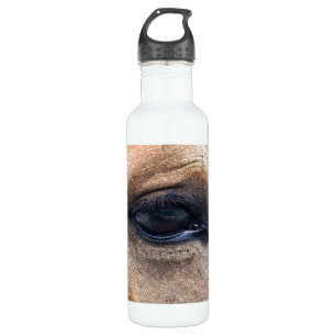 Spirit's Eye 710 Ml Water Bottle