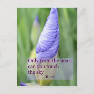Spiritual Iris Inspirational Rumi Quote Postcard