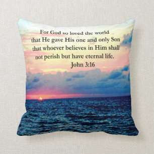 SPIRITUAL JOHN 3:16 PHOTO THROW PILLOW