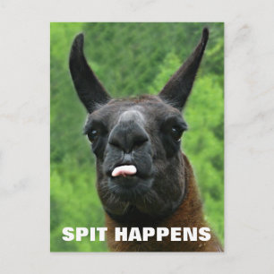 Spit Happens Postcard