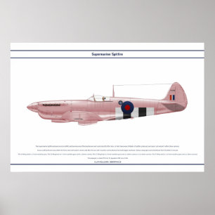 Spitfire GB 16 Sqn 2 Poster