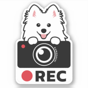 Spitz Chig Enregistrement Vinyl Sticker avertissem