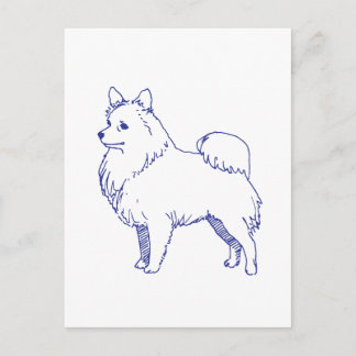 Spitz dog breed postcard