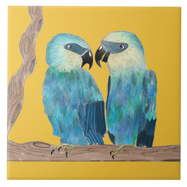Spix's Macaws on a Ceramic Tile - (Y) (Front)