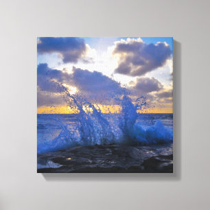 Splash Canvas Print